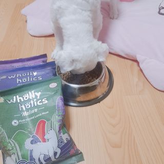지니야님이 올린 리뷰 사진 4