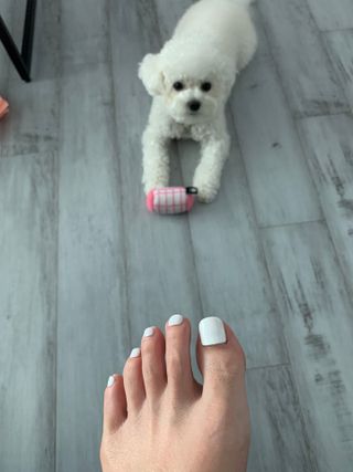 큐티윤님이 올린 리뷰 사진 3