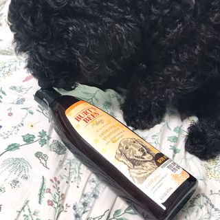 우와한언니님이 올린 리뷰 사진 2