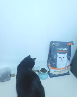 함지아님이 올린 리뷰 사진 2