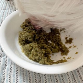 뽀히님이 올린 리뷰 사진 3