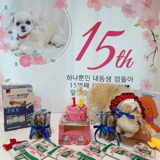 아루몽님이 올린 리뷰 사진 3