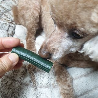 🐕삐딱이💖💖💖님이 올린 리뷰 사진 3