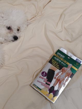 한슈아이님이 올린 리뷰 사진 2