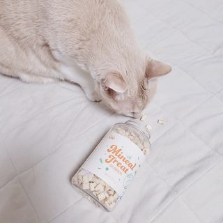 프롬씨 미네랄 소고기트릿 / 미네랄 치킨트릿 / 미네랄 북어트릿 (3가지 상품 중 랜덤 1가지 상품 랜덤 발송) — 5점을 준 리뷰어가 2022년 11월 올린 사용 사진