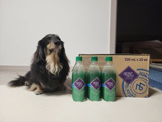 몽베스트 Montbest with Sparkling water Plain 20병 — 5점을 준 리뷰어가 2023년 2월 올린 사용 사진