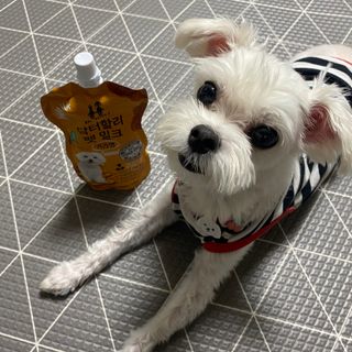 당근님이 올린 리뷰 사진 1