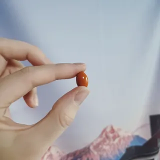 덤보님이 올린 리뷰 사진 2