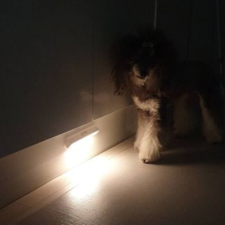 BlossomY님이 올린 리뷰 사진 2