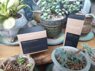 마리엔메이  이데베논 블랙베리 보습 크림 + 세럼 — 5점을 준 리뷰어가 2021년 10월 올린 사용 사진