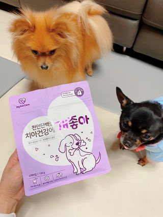 My Pet Care 천연단백질 치아건강에 개좋아 — 5점을 준 리뷰어가 2021년 1월 올린 사용 사진