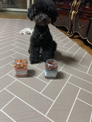 페페로니 진짜 오메가3 연어+소고기 180g+180g — 3.5점을 준 리뷰어가 2021년 7월 올린 사용 사진