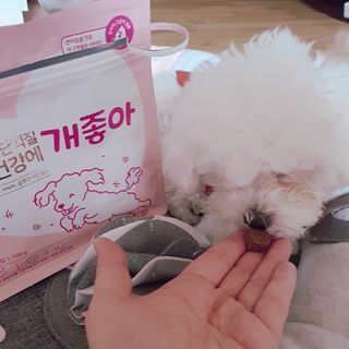My Pet Care 천연단백질 관절건강에 개좋아 — 5점을 준 리뷰어가 2021년 1월 올린 사용 사진