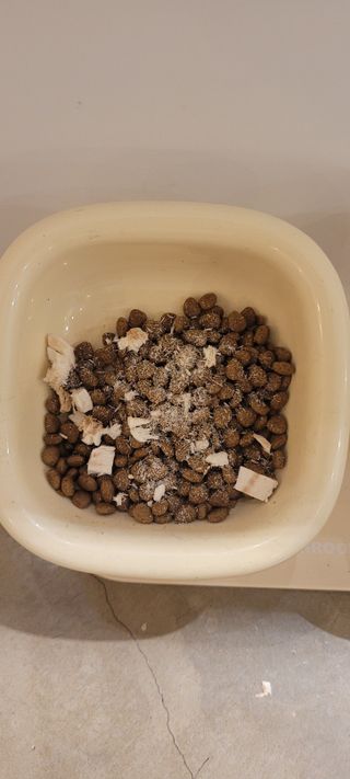 [펫시밀] 원물그대로 영양듬뿍 동결건조 왕북어트릿300g,왕치킨트릿400g,열빙어트릿300g 대용량 간식 — 5점을 준 리뷰어가 2023년 5월 올린 사용 사진
