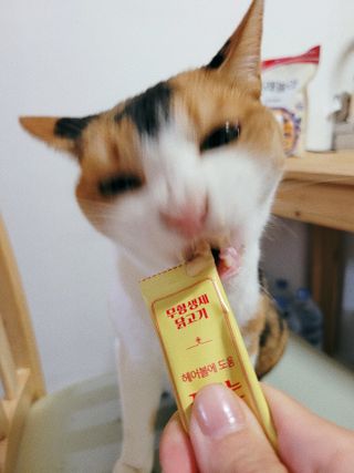 루나님이 올린 리뷰 사진 4