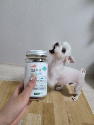 pussyess님이 올린 리뷰 사진 2