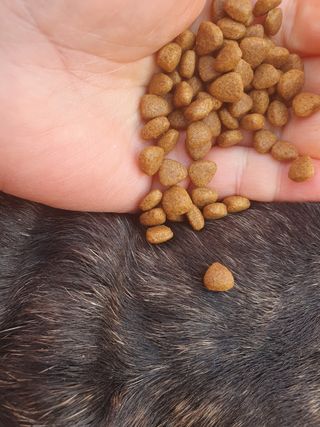 탱크돌콩님이 올린 리뷰 사진 3