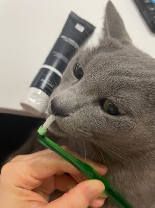 여온님이 올린 리뷰 사진 1