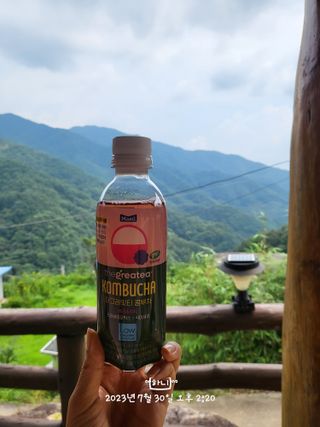 더그레잇티 콤부차 [매일유업] 더그레잇티 44kcal 콤부차 300ml *12개입 (오리지널 6개+베리리치 6개) — 5점을 준 리뷰어가 2023년 8월 올린 사용 사진