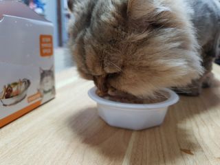 하린님이 올린 리뷰 사진 4