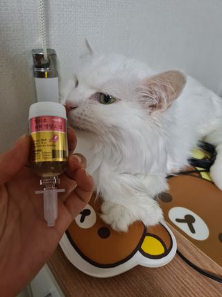 언제나님이 올린 리뷰 사진 4