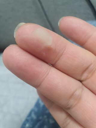 poochi님이 올린 리뷰 사진 4