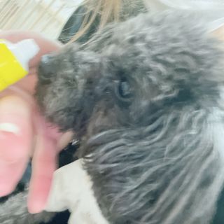 baam님이 올린 리뷰 사진 1
