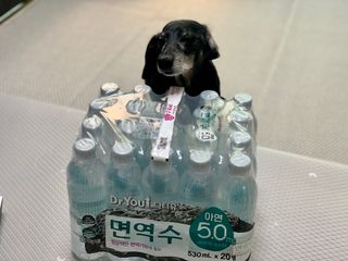콩이누나님이 올린 리뷰 사진 1