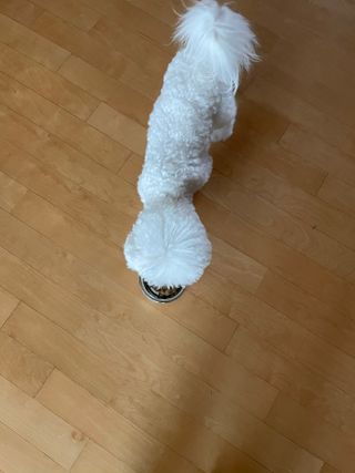 뚜두좌님이 올린 리뷰 사진 3
