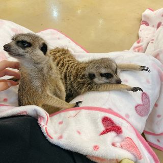 옐스님이 올린 리뷰 사진 1