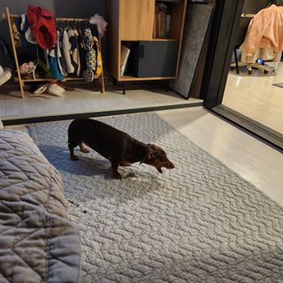 이쁘콩님이 올린 리뷰 사진 2