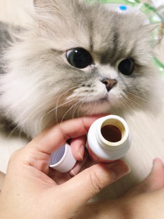 랩앤뷰티 메가 벨벳 콜라겐 12000 — 4.5점을 준 리뷰어가 2021년 5월 올린 사용 사진