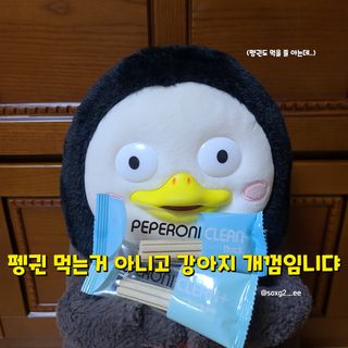 그므시라꼬님님이 올린 리뷰 사진 3