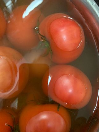 tomytaste님이 올린 리뷰 사진 3