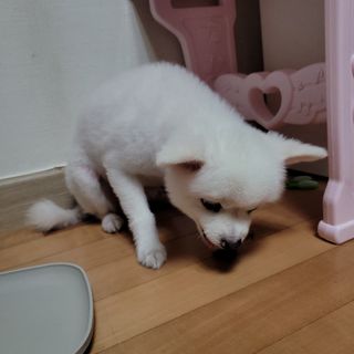 원은님이 올린 리뷰 사진 3