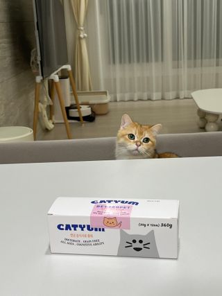 달님이 올린 리뷰 사진 2