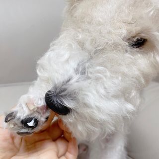 솜솜이2님이 올린 리뷰 사진 2