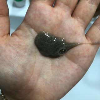 여름님이 올린 리뷰 사진 3