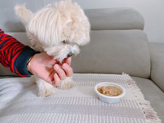 희진이님이 올린 리뷰 사진 4