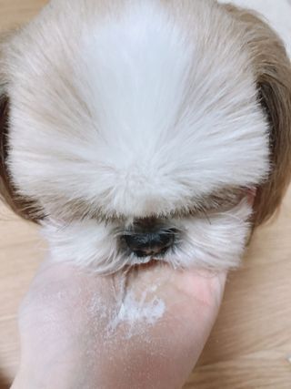 엘리오복숭아님이 올린 리뷰 사진 4