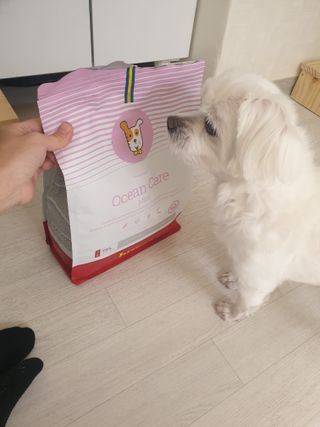 고롸고롸고롸님이 올린 리뷰 사진 2