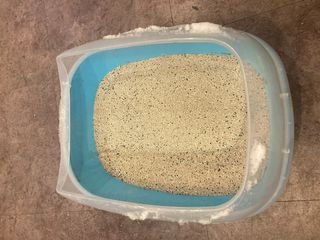 겟플렉스 켓플렉스 캣츠룸BS-1 고양이모래 4kg — 4점을 준 리뷰어가 2021년 2월 올린 사용 사진