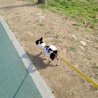 노이님이 올린 리뷰 사진 2