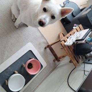 나래님이 올린 리뷰 사진 1
