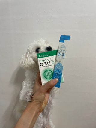 냥냥이님이 올린 리뷰 사진 1