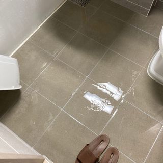 이다곰님이 올린 리뷰 사진 1