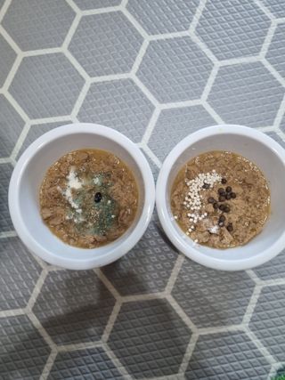 진쓰님이 올린 리뷰 사진 4