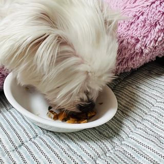 뽀히님이 올린 리뷰 사진 2