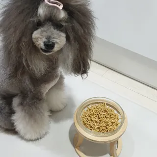 안심댕면 강아지라면 5봉지+쓰담쓰담 종합영양제 2스틱 샘플 증정 — 4점을 준 리뷰어가 2022년 8월 올린 사용 사진