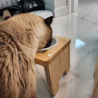 부우기님이 올린 리뷰 사진 4